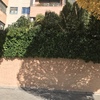 Otros Trabajos De Jardinería