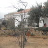 Construcción casa rústica
