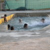 Revestir piscina con fibra de vidrio y poliester