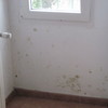 Acabar una rehabilitación de una vivienda