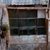 Instalar ventana fija triple cristal y pantalla acustica en un corral