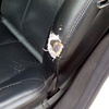 Tapizado del asiento del conductor