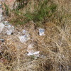 Desescombro parcela