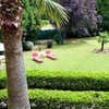 Desbrozar Jardín