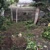 Construir Muro