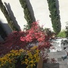 Diseñar Jardín