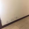 Pintar Interior De Vivienda