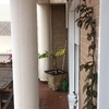 Cortinas Cristal