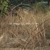 Realizar Pozo de Agua