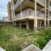 Desbrozar Jardín