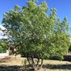 Otros Trabajos De Jardinería