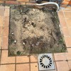 Colocacion azulejos gres