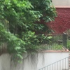 Desbrozar Jardín