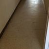 Pulir Suelo Vivienda (Completa)