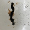 Cambiar Bañera Por bañera