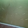 Pintar separador balcon