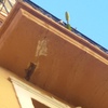 Reparar Grietas Edificio