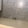Suelos Plásticos/Vinílicos