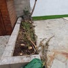Trabajos varios de albañilería (o reforma)