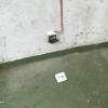 Otros Trabajos De Antenas