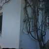 Pintar Exterior Vivienda