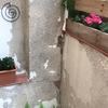 Pintar Exterior Vivienda