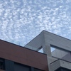 Cortinas Cristal