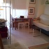 Acabar con cucarachas y sus huevos en piso de 40 m2