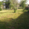 Hacer puesta a punto de jardín