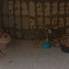 Reforma cuarto de baño y cocina cabanyal