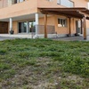 Limpieza de jardin