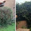 Otros Trabajos De Jardinería