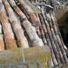 Proyecto de Derribo y Construcción