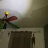 Pintar Interior De Vivienda