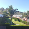 Mantener Jardín