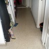 Instalar Tarima Flotante en Vivienda Completa