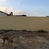Poner Hormigón Impreso