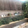 Podar y puesta a punto de un jardin pequeño