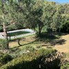 Limpieza puntual de piscina