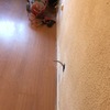 Trabajos varios de albañilería (o reforma)