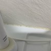 Fumigación o Desinsectación