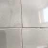 Trabajos varios de albañilería (o reforma)