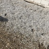 Excavar Zanjas