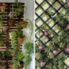 Diseñar Jardin vertical