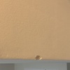 Otros Trabajos De Pintura