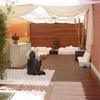 Ambientar terraza