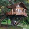 Construir Casa