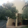 Nivelar techo de vivienda de unos 100 m2 y salida de agua