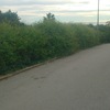 Desbrozar parcela de 1200 metros