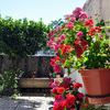 Cesped artificial en patio villavieja de yeltes (salamanca)